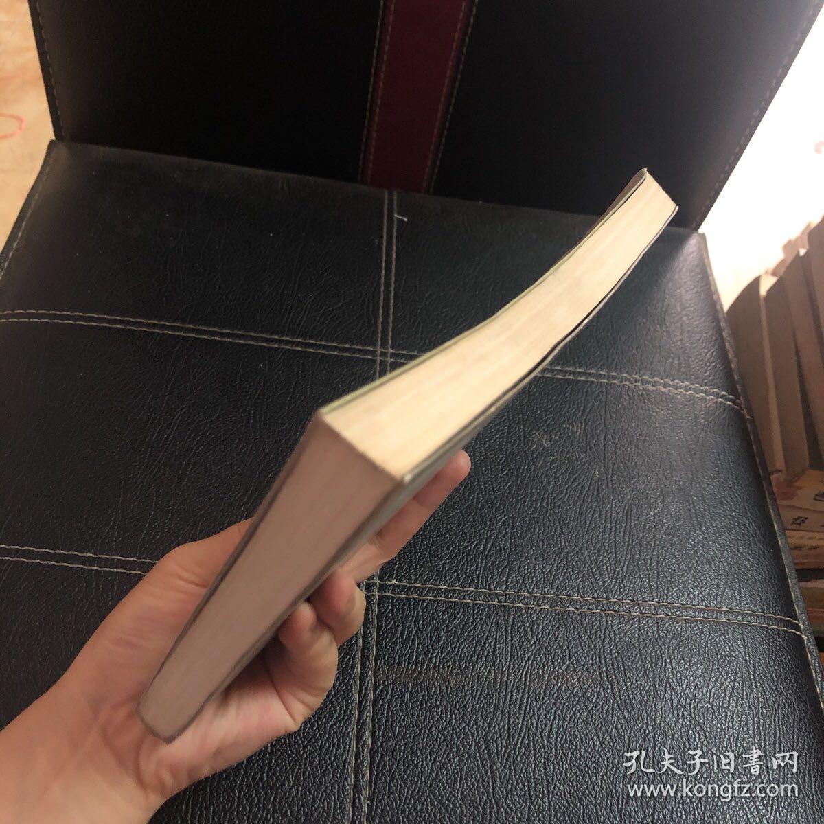 二十年目睹之现状