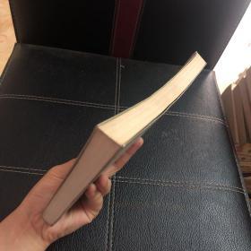 二十年目睹之现状