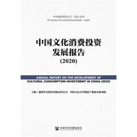 中国文化消费投资发展报告（2020）