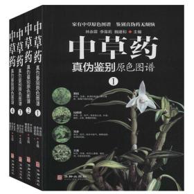 【全新正版】中草药真伪鉴别原色图谱