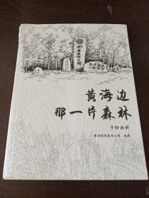 黄海边那一片森林（手绘画册）