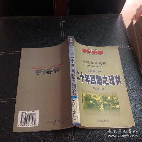 二十年目睹之现状