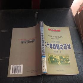 二十年目睹之现状
