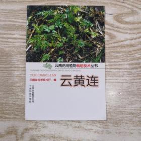 云南药用植物栽培技术丛书云黄莲