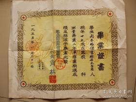 罕见：重工业部哈尔滨测量学校毕业证书 【1955年】