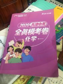 朴新教育2020天津中考 全真模考卷 化学