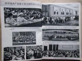 新华月报 1973年8期总346期（党的十大资料为主）