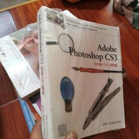 AdobePhotoshop CS3 one-on-one