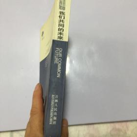 我们共同的未来