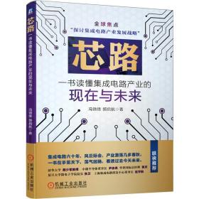 芯路??一书读懂集成电路产业的现在与未来