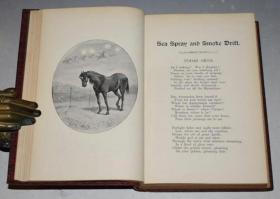 1905年 Adam Lindsay Gordon Poems 《亚当•林赛•戈登诗集》全原粒面小牛皮精装插图本 增补插图 品佳