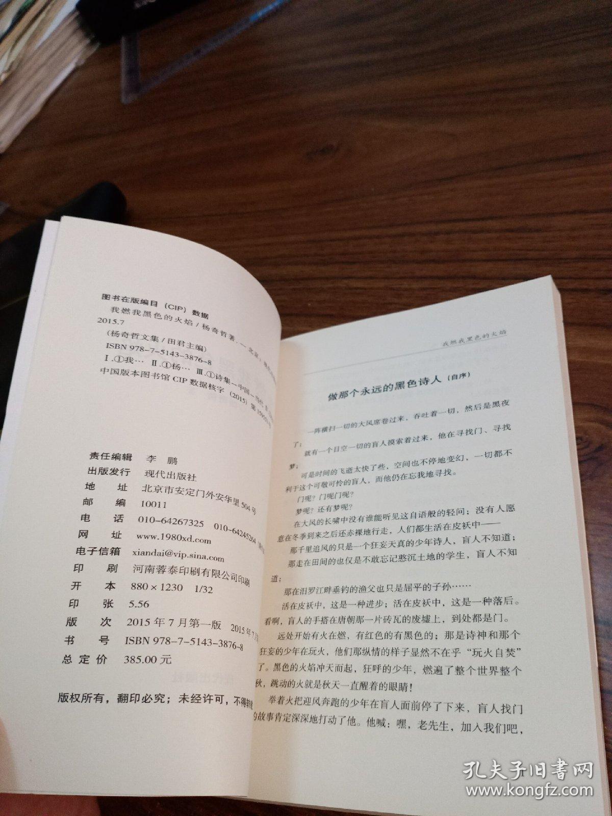 《杨奇哲文集 第3卷》我燃我黑色的火焰