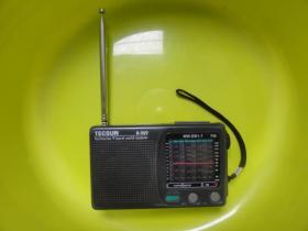 德生R-909收音机  有瑕疵 品一般 送电池