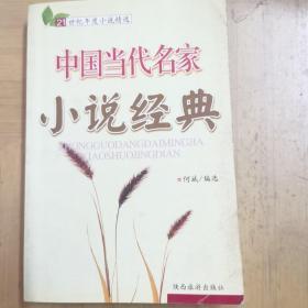 中国当代名家小说经典