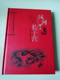 凤河三部曲之一：凤河岸上—长子营