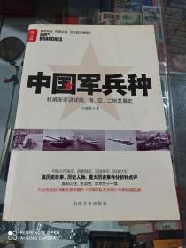 中国军兵种
