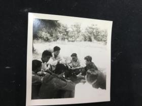 1956年清华大学学生于长春人民公园合影