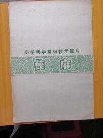 小学科学常识教学图片