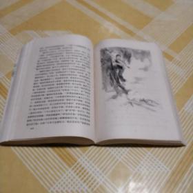 武陵山下 湖南人民出版社(插图本)