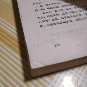 武陵山下 湖南人民出版社(插图本)