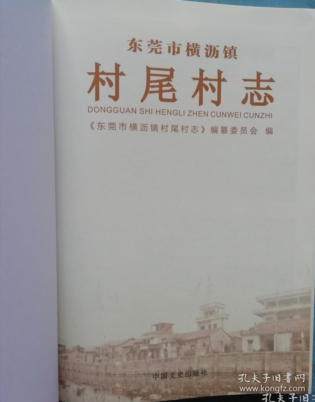 东莞市横沥镇村尾村志（广东东莞市村志系列）