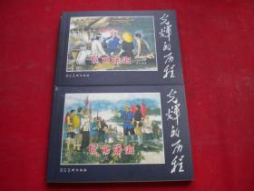 《风雨潇湘》一套两册，50开钱定华绘，河北2009.10一版一印10品，7827号，连环画