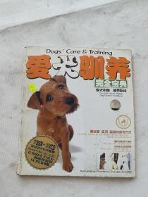 爱犬驯养宝全宝典