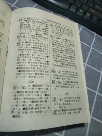 现代汉语规范字典