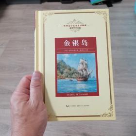 金银岛：新课标—长江名著名译（世界文学名著名译典藏 全译插图本）