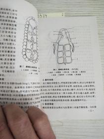 人工养蝎技术