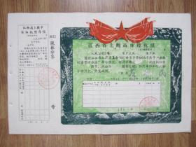 60年代上饶林权执照39*26厘米