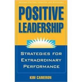 Positive Leadership: Strategies for Extraordinary Performance