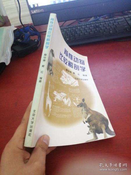 脊椎动物比较解剖学