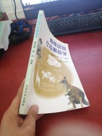 脊椎动物比较解剖学