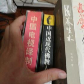 中國電視譯制大全