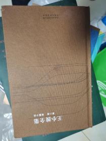 王小波全集 第八卷