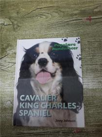 【外文原版】  Populaere hunderacer CAVALIER KING CHARLES SPANIEL【精装绘本】【全新】