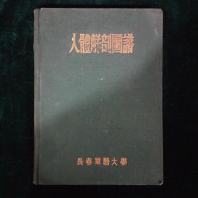 50年人体解刨图谱长春军医大学出版