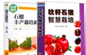 2020石榴栽培技术   软籽石榴智慧栽培