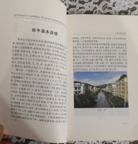 冊亨布依地名文化 全新 未翻阅