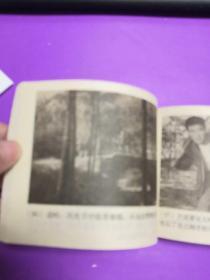 月亮湾的笑声