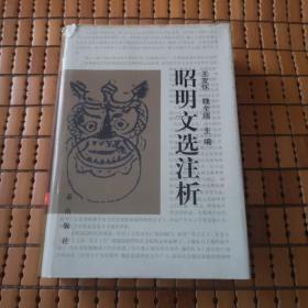 昭明文选注析