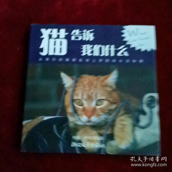 猫告诉我们什么