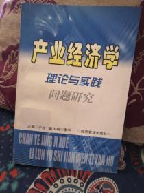 产业经济学理论与实践问题研究