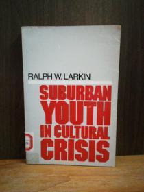 Suburban Youth In Cultural Crisis