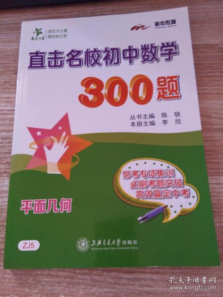 直击名校初中数学300题·平面几何