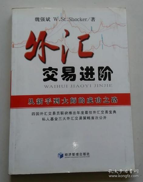 外汇交易进阶：从新手到大师的成功之路