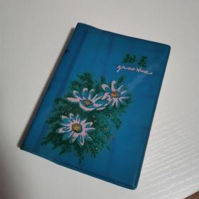 蓝色塑皮日记本