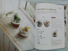 Miniature Terrariums: Tiny Glass Container Gardens Using Easy-to-Grow Plants and Inexpensive Glassware!