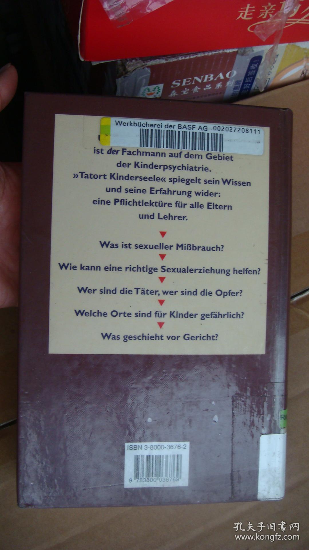 TATORT KINDERSEELE:Sexueller Miβbrauch und die Folgen 德文原版 精装20开